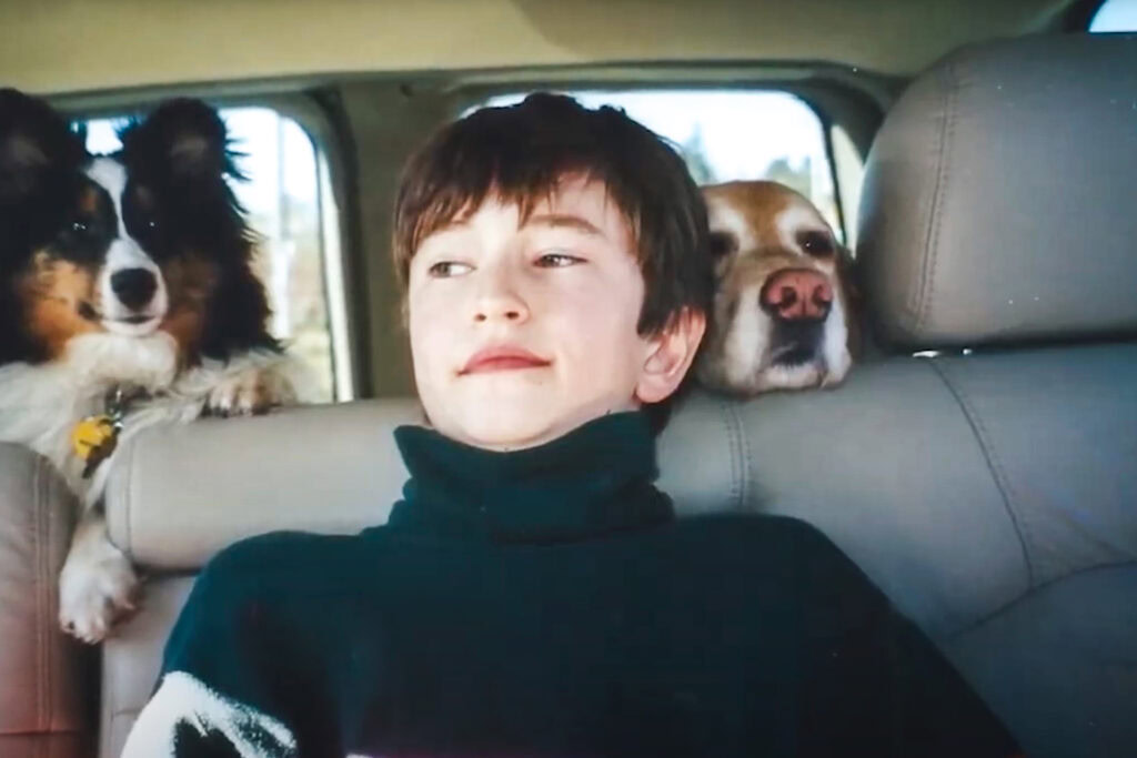 A boy sits in the back seat of a car with a slight smile, flanked by two dogs—one sitting behind him and the other resting its head on the seat beside him.